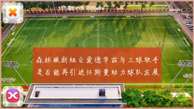 森林狼新组合爱德华兹与三球联手是否能再引进怀斯曼助力球队发展